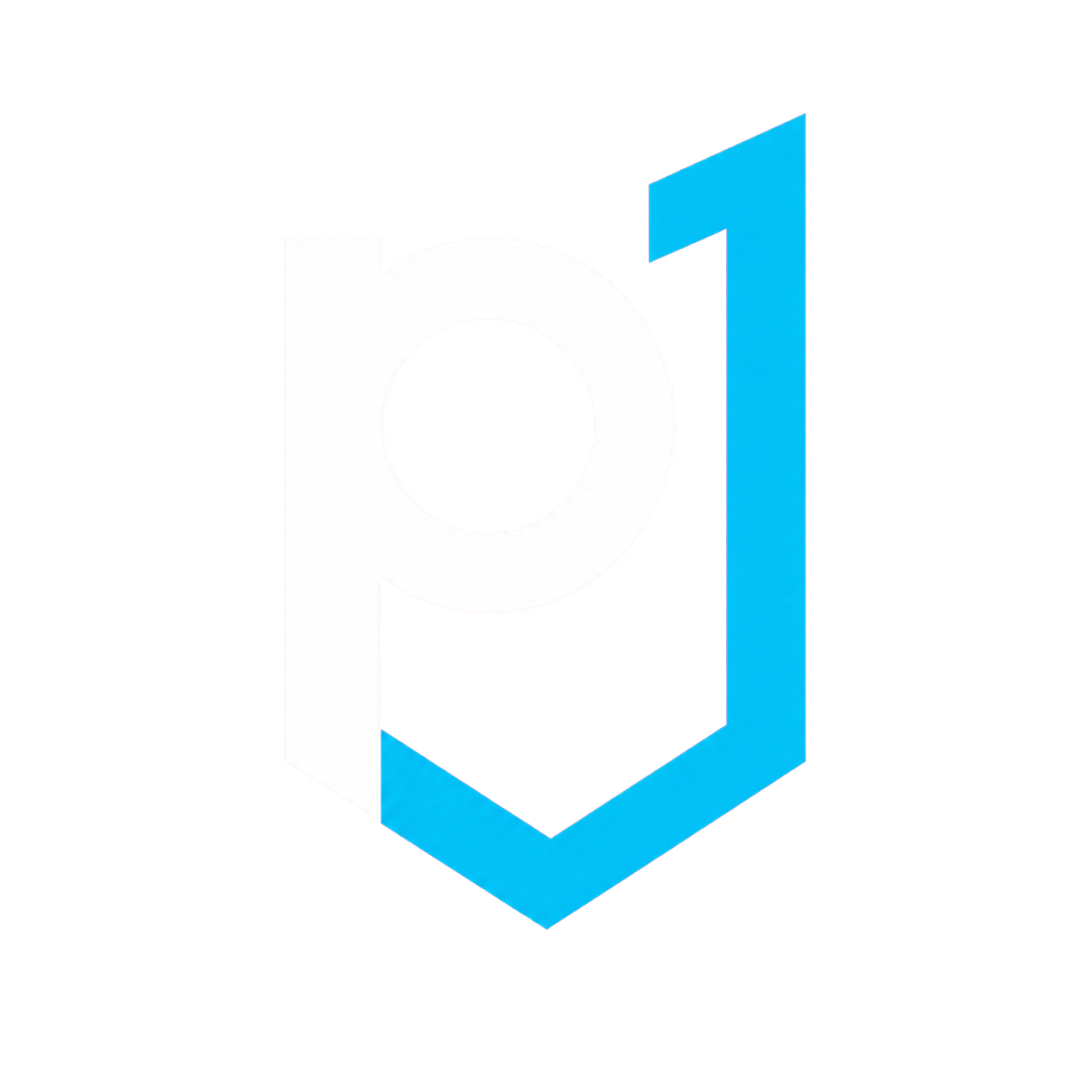 P1 Defence logo